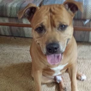 Meet your Posher, Adrienne